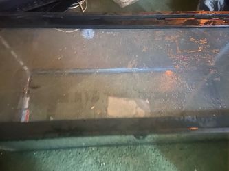 Fish/reptile tank