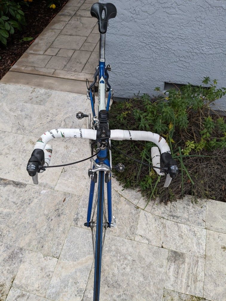 REI Novara Forza Road Bike for Sale in San Jose, CA - OfferUp