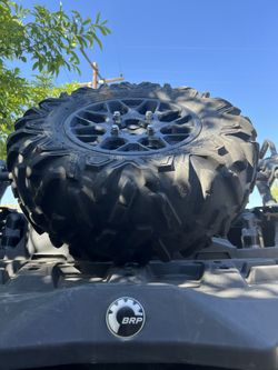 5 Can Am Stocks $50 Each