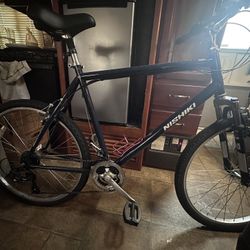 NISHIKI TAMARACK COMFORT BICYCLE