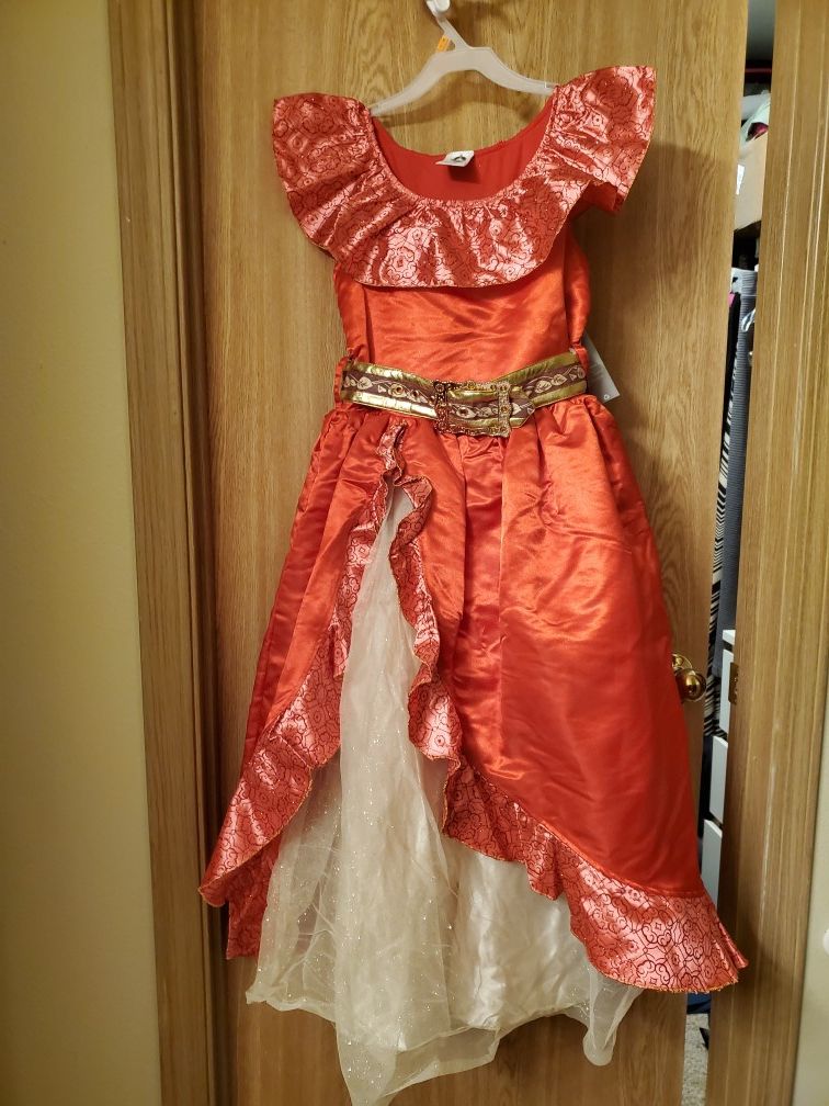 Elena of Avalor costume