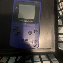 Nintendo Game Boy Color Grape Handheld System