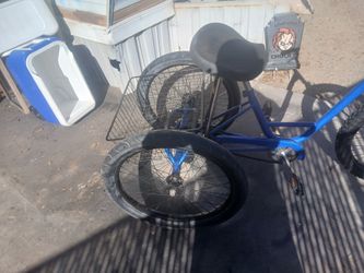 24 Inch Trike