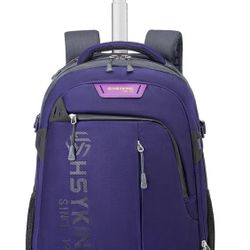 20 Inches Water-resistant Rolling Laptop Backpack Wheeled Backpack for Adult, Business People and Travel Commuter Carry-on Luggage with Spinner Wheels