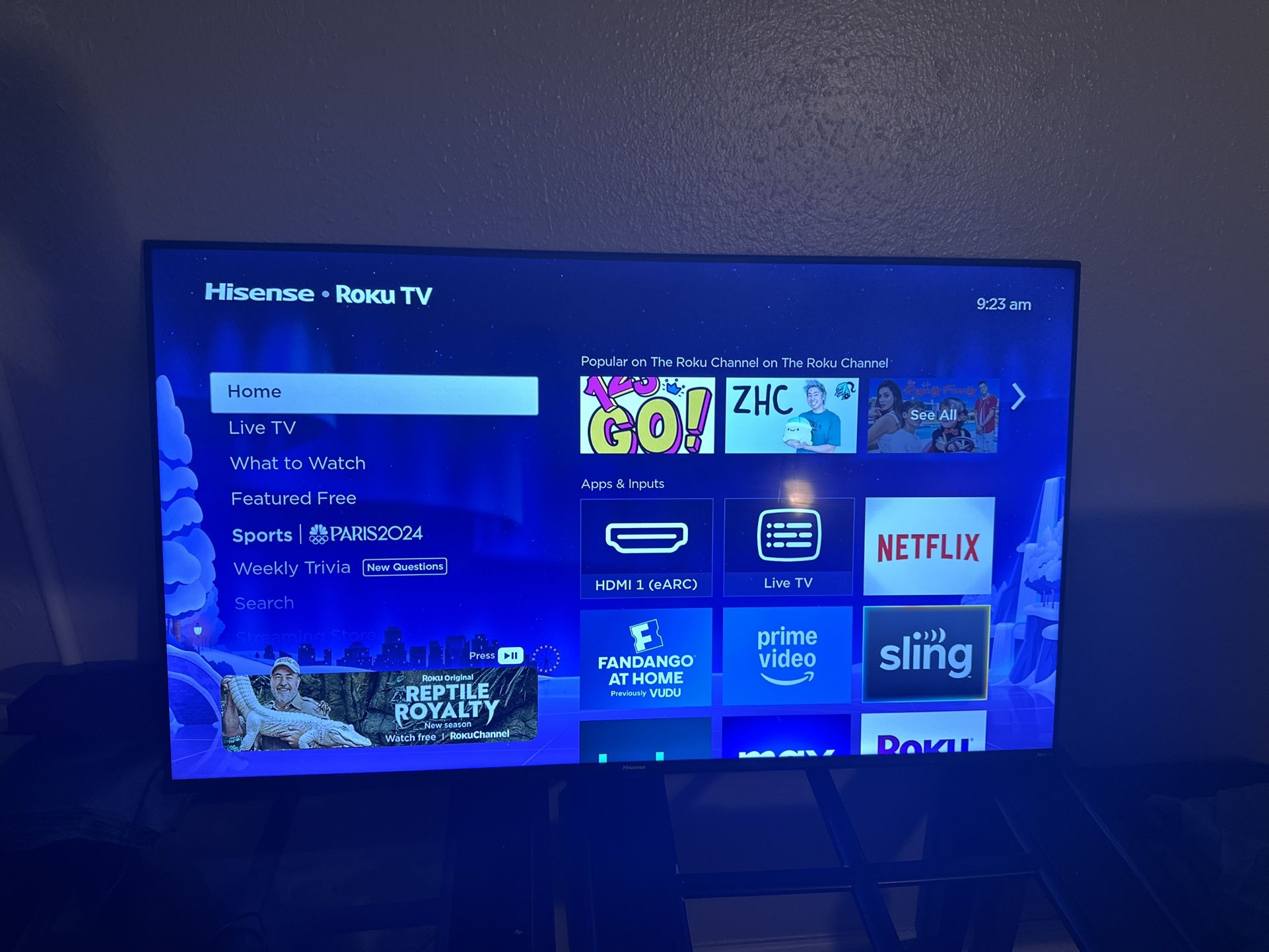 Hisense 50 In Roku Tv