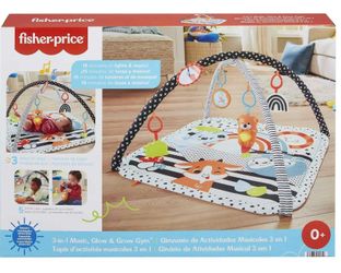 Fisherprice playmat