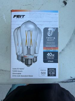 Feit Electric ST19 LED Bulbs 4-Pack