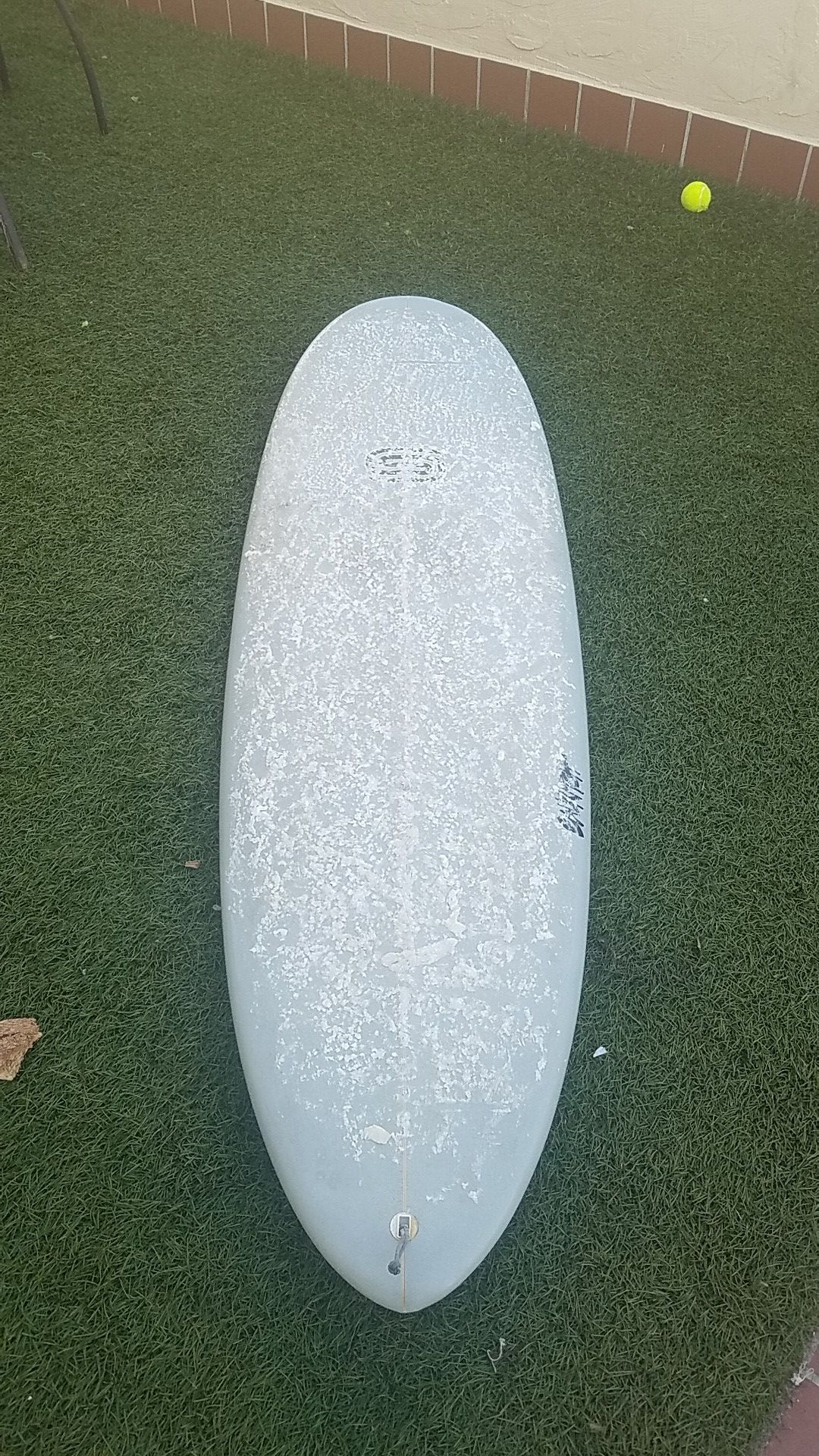 6'0 sauritch egg surfboard