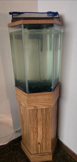 Fish Tank