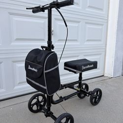 Economy Knee Scooter Steerable Knee Walker for Foot Injuries Compact Crutch Alternative with Dual Braking System (Black)