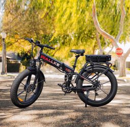E-bike 1,000 OBO