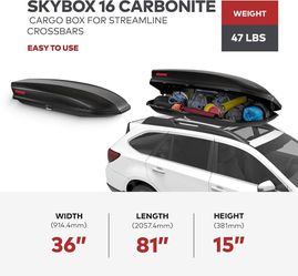 SkyBox 16 Carbonite Cargo Roof Box
