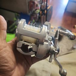 Daiwa Grandwave 20shw Saltwater Fishing Reel 
