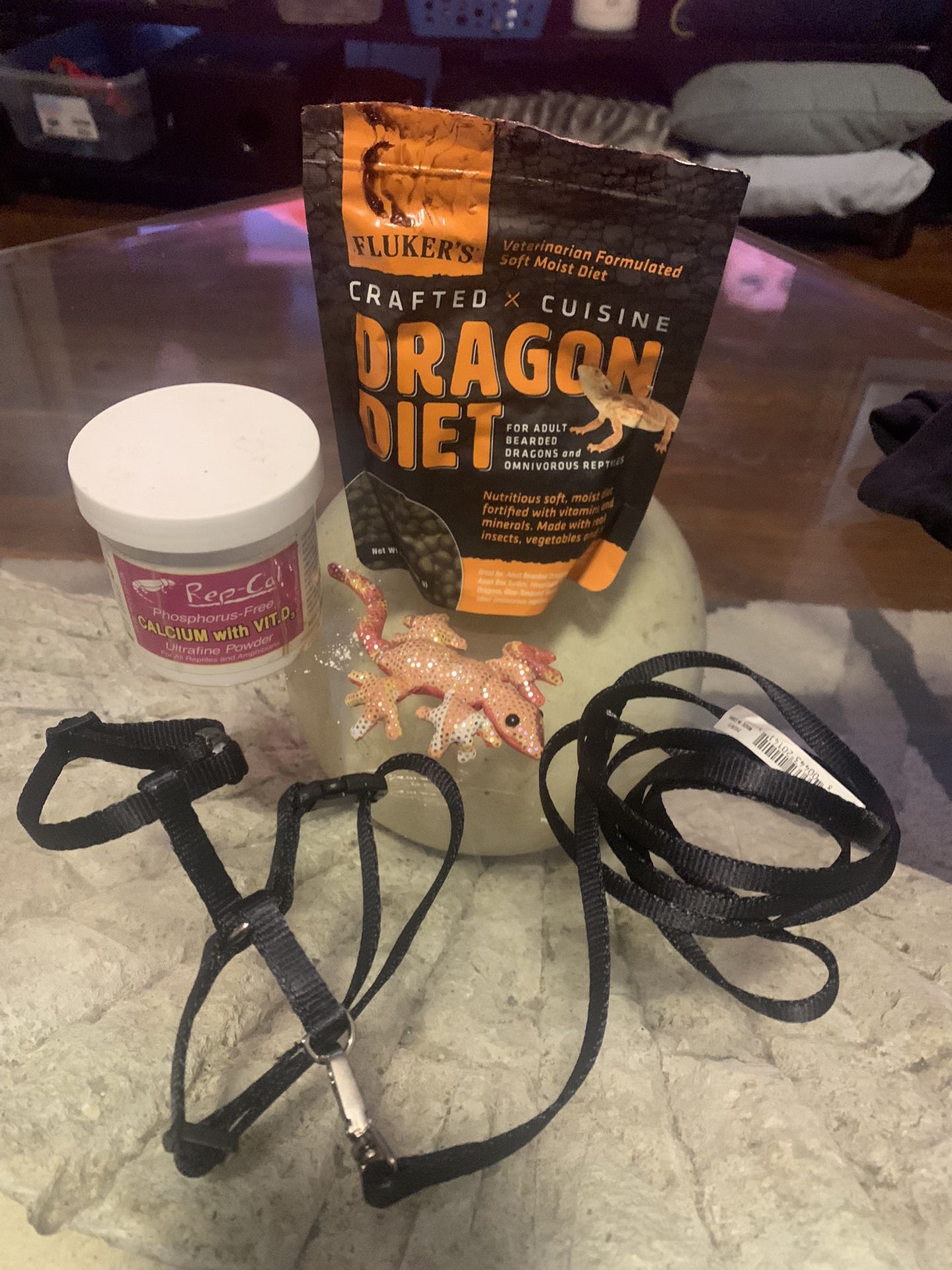 Lizard accessories, and food