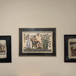 Framed Egyptian Papyruses 