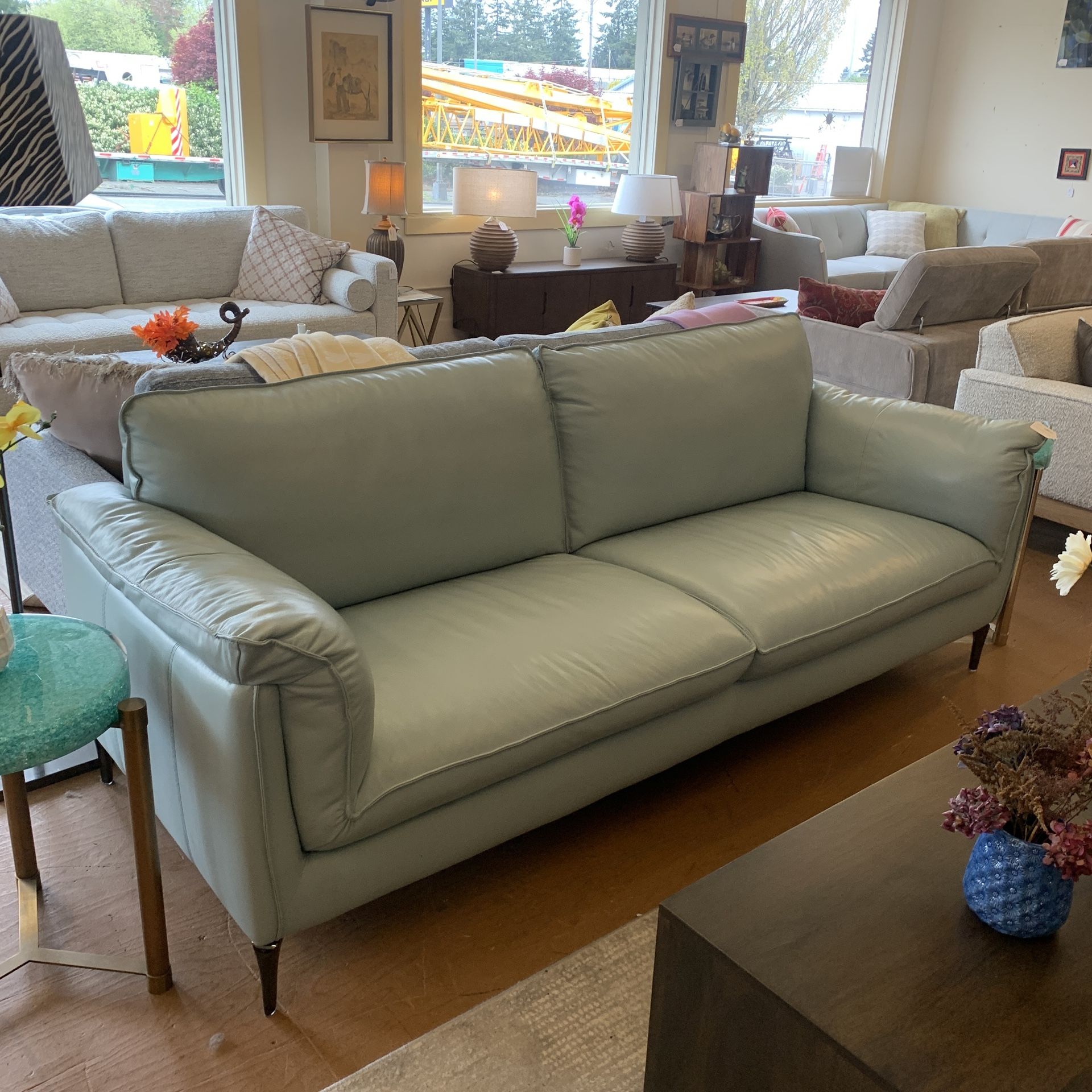 Robins Egg Plush Leather Sofa