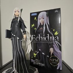 Echidna