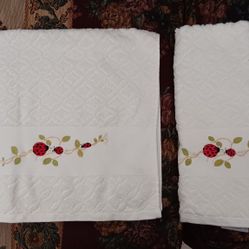 2 New Hand Towels