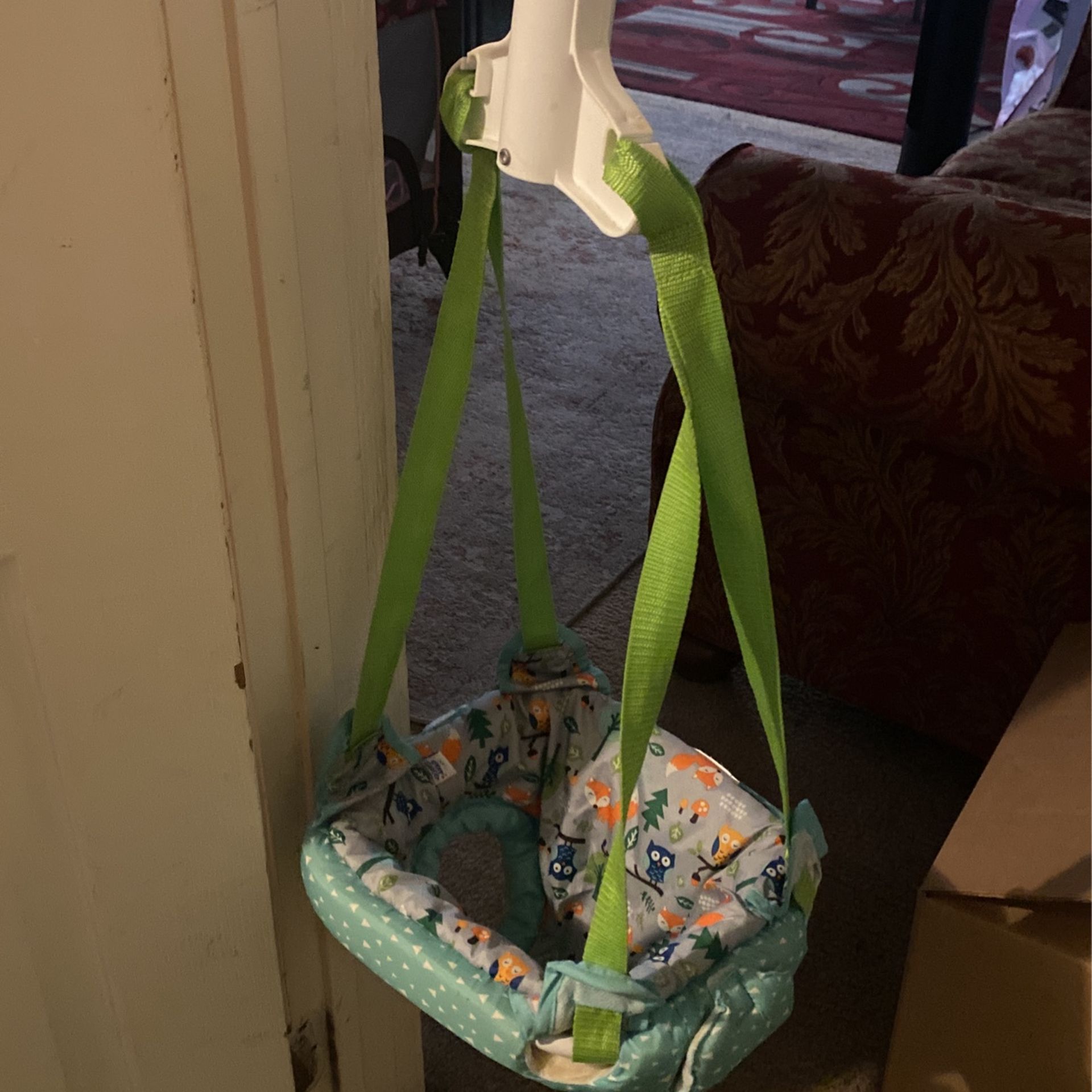 Baby Door Swing Free