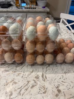 Chicken Eggs