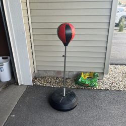 Punching Bag