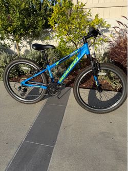 Schwinn Thrasher 6061 aluminum 24 inch