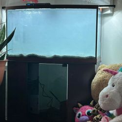Bowfront Aquarium Fish Tank 