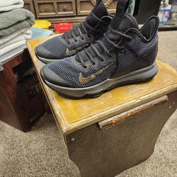 LeBron James Men's Nikes