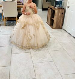 Gorgeous Mini Quinceañera Dress/ Flower Girl Dress