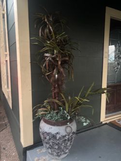 Artificial plant