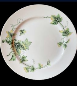 Hira  Fine China Dinner Plates (5)
