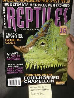 Reptiles magazine- Chameleon