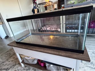 20 gal tank