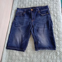 Karen T Jean Shorts Womens 14 Blue Denim Stretch Casual Pockets