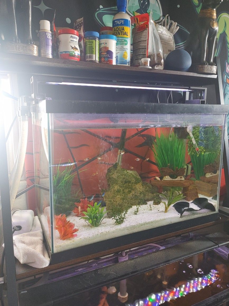 Tank And Livestock