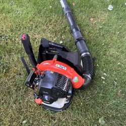 Not Working Gas Blower