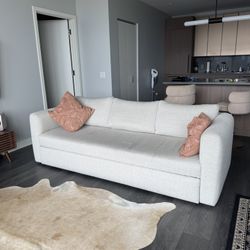 Comfy Couch With Pull Out Bed 