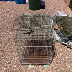 Dog Kennel
