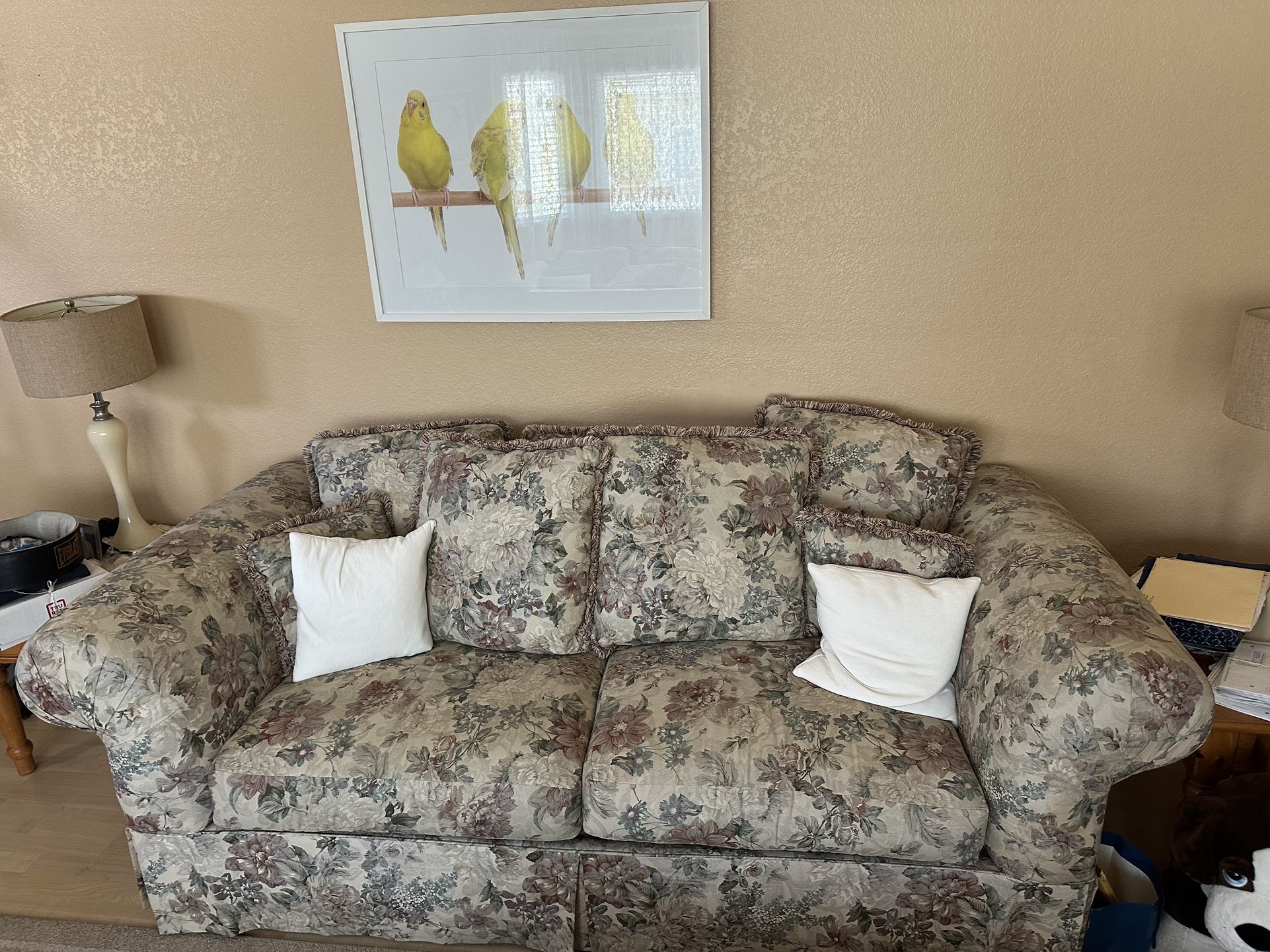 Vintage Couch Set