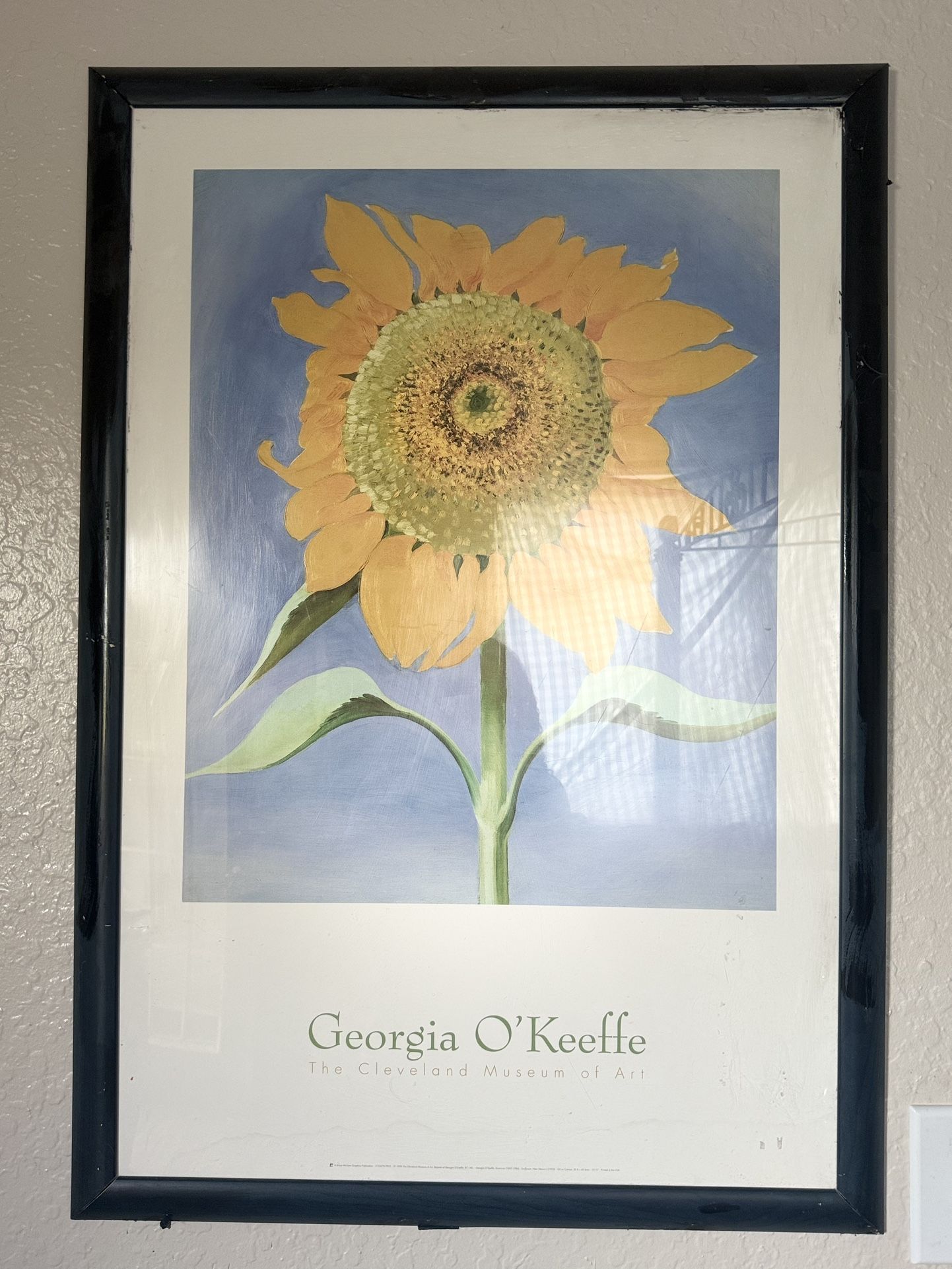 Sunflower-Georgia O’Keeffe/ Good Quality Canvas