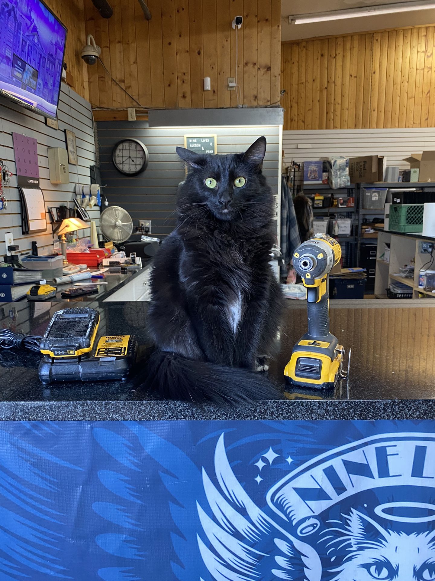 Dewalt DCF887 Impact Driver
