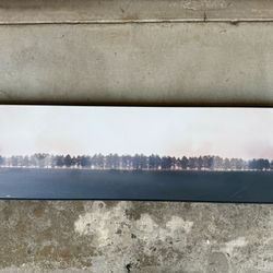 Frames Tree-Line Picture