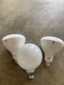 Bulb
