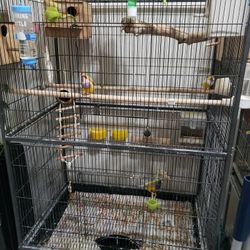 Breeding Cage