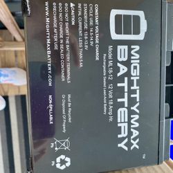 BATTERIES NEW IN BOX SCOOTER