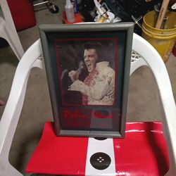 Robin Wood Art Expo 1983