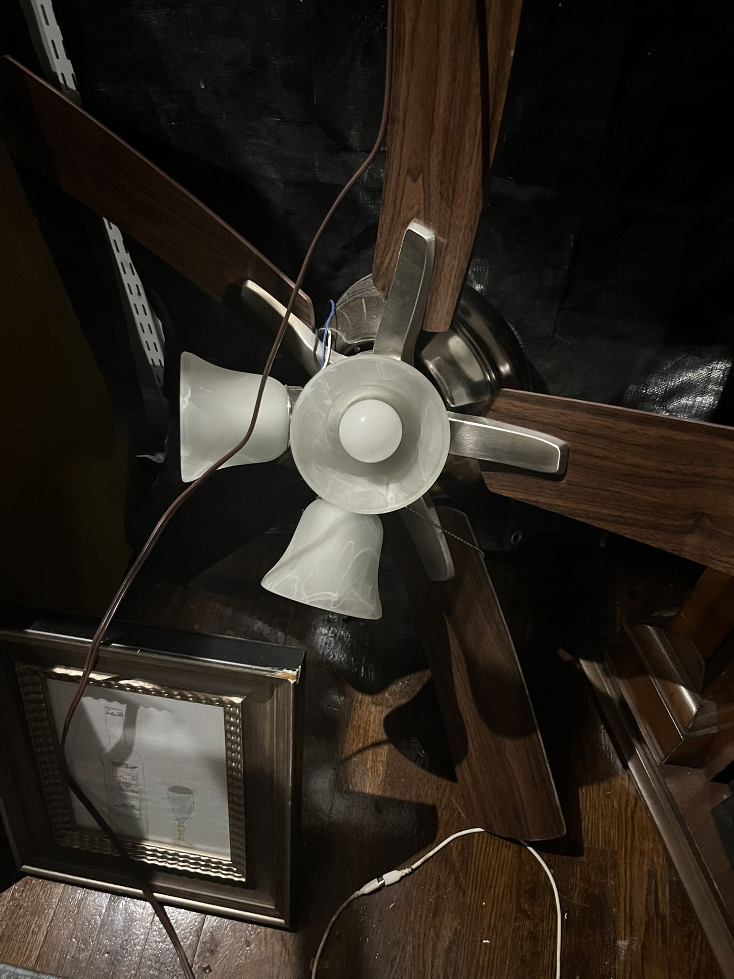 Cieling Fan