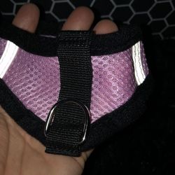 Brand New Pink Harness W/ Leash