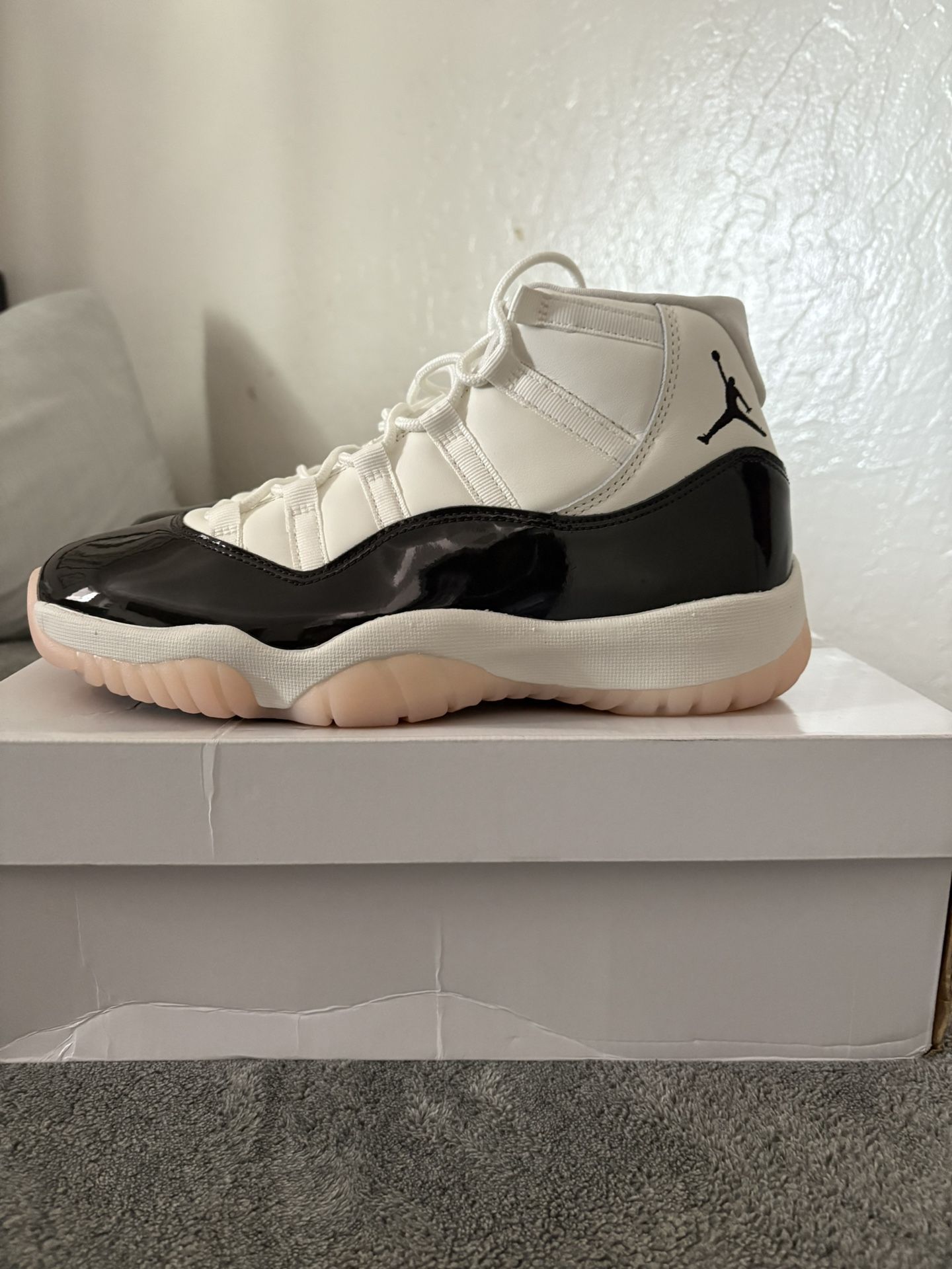 Jordan 11 Neapolitan