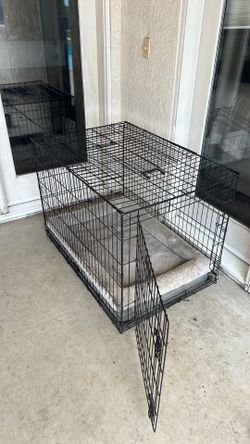Pet Supplies